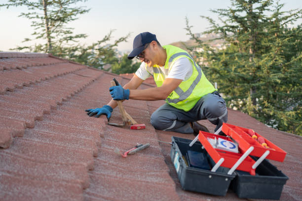 Best Metal Roofing Contractor  in Augusta, GA